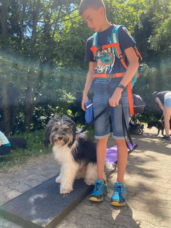 Ein junger Junge streichelt einen Hund an der Leine. – Jugend und Hund Lager 2022 in Segnas