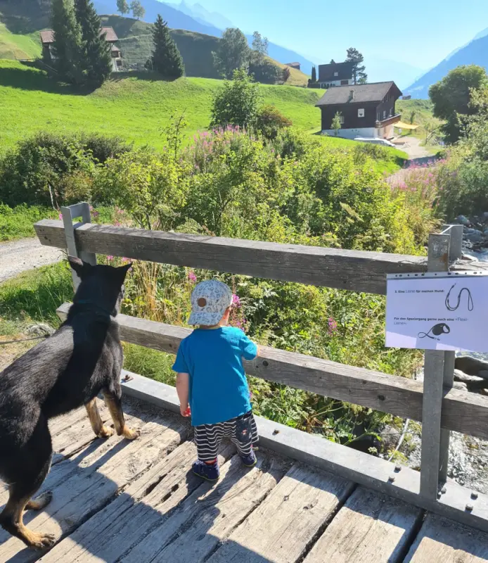 Ein kleiner Junge und ein Hund auf einer Holzbank. – Jugend und Hund Lager 2022 in Segnas