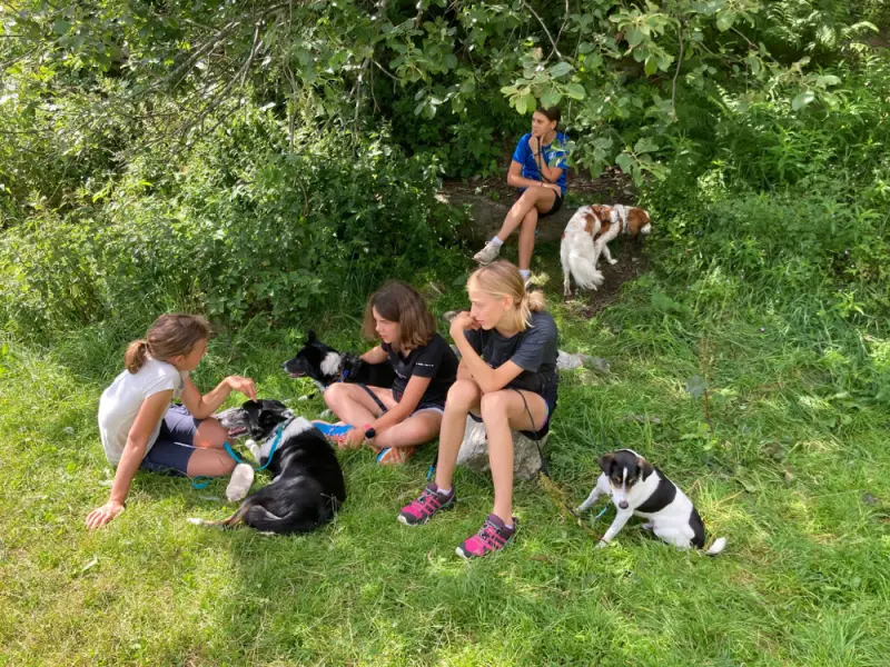 Eine Gruppe von vier Mädchen, die mit ihren Hunden auf dem Gras sitzen, umgeben von Bäumen im Hintergrund. Rassen: Toy Terrier, Bretone. – Jugend und Hund Lager 2023 in Segnas