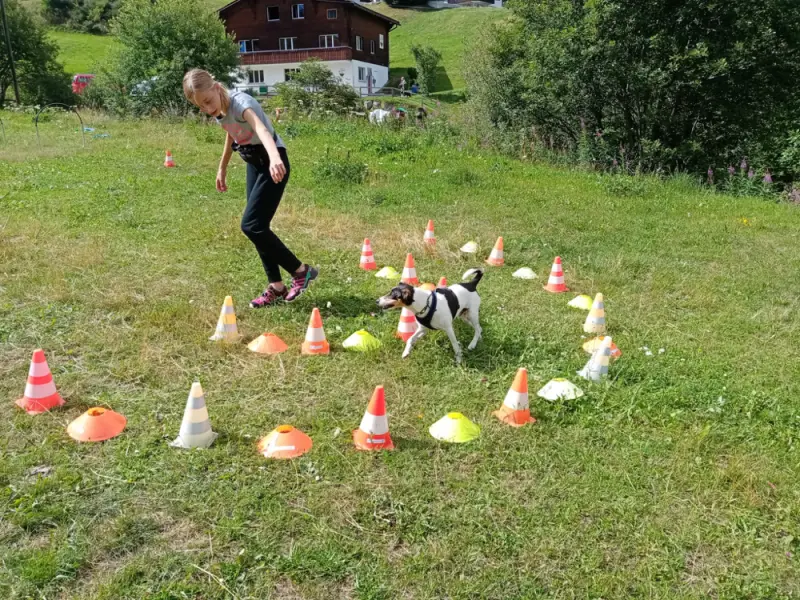 Eine Frau, die mit einem Hund durch ein Grasfeld läuft, umgeben von Verkehrskegeln. Rasse: Toy Terrier. – Jugend und Hund Lager 2023 in Segnas