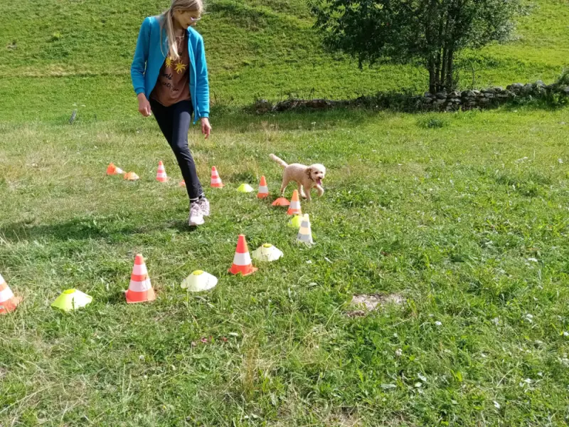 Eine Frau, die einen Hund in einem Grasfeld geht, umgeben von Verkehrskegeln. – Jugend und Hund Lager 2023 in Segnas