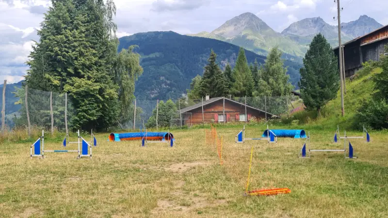 Ein Feld mit einem Zaun und einigen Bäumen. – Jugend und Hund Lager 2023 in Segnas