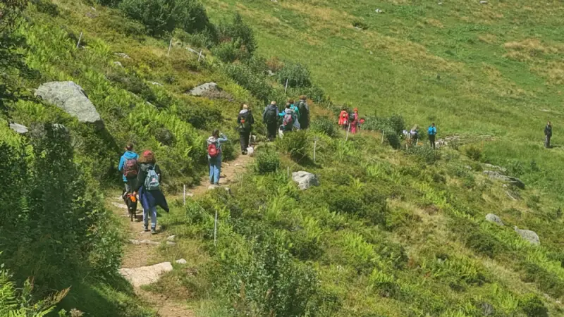 Eine Gruppe von Menschen, die einen steilen Hang hinaufgehen, umgeben von üppig grünem Gras, Pflanzen und Bäumen. – Jugend und Hund Lager 2023 in Segnas