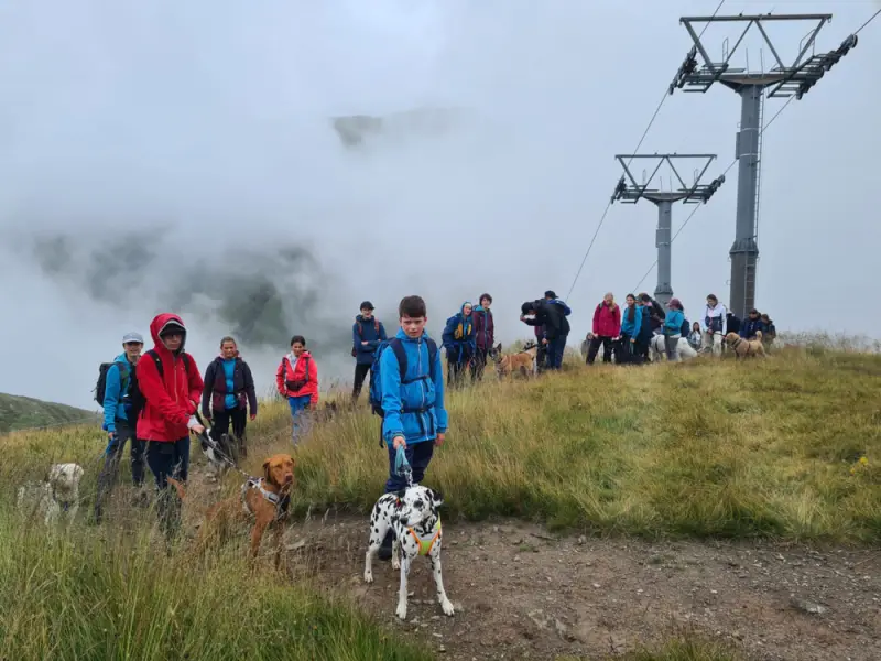 Eine Gruppe von Menschen, die mit ihren Hunden auf einem grasbewachsenen Hügel spazieren, mit einer Seilbahn im… Rasse: Dalmatiner. – Jugend und Hund Lager 2023 in Segnas
