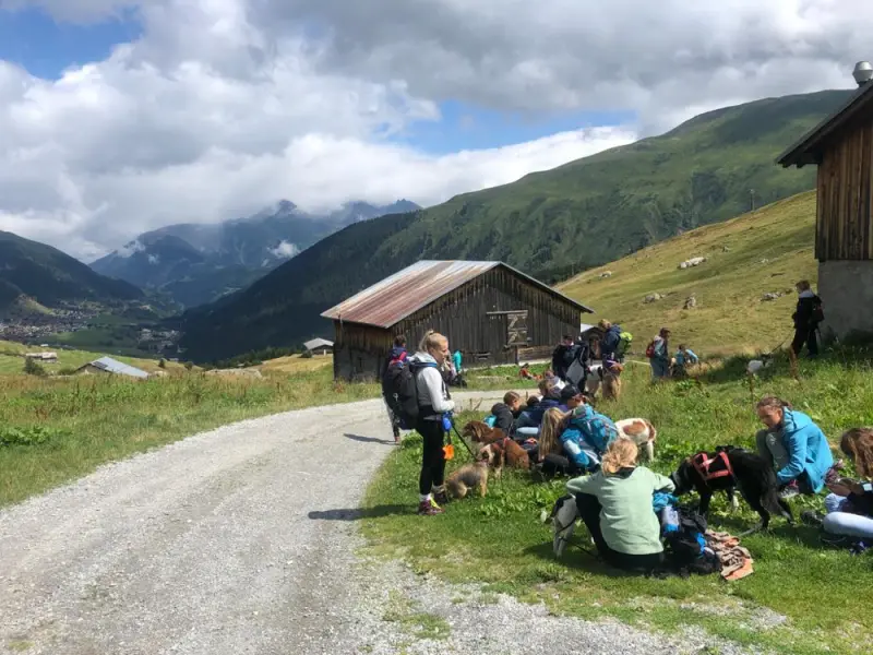 Eine Gruppe von Menschen, die auf der Seite einer Strasse sitzen. – Jugend und Hund Lager 2023 in Segnas