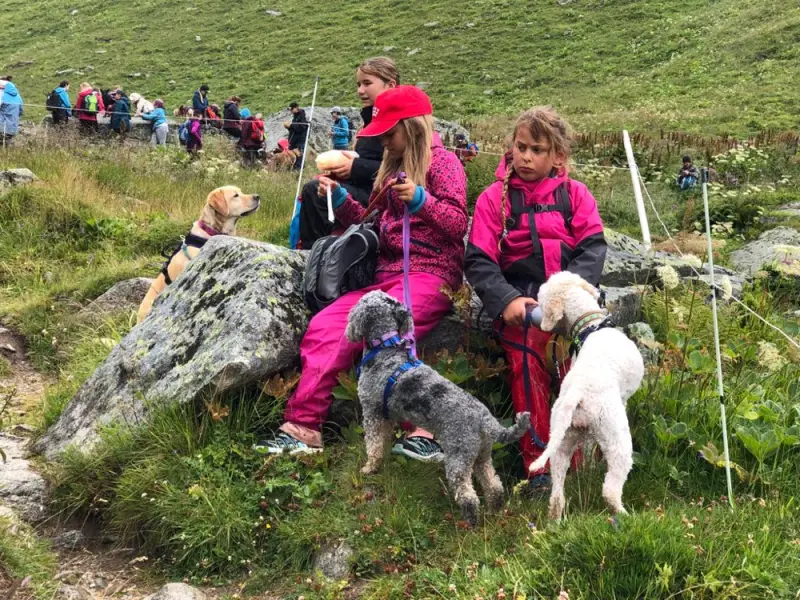 Zwei Mädchen und zwei Hunde sitzen auf einem Felsen in den Bergen. – Jugend und Hund Lager 2023 in Segnas