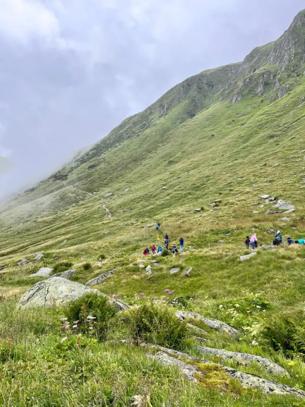 Eine Gruppe von Menschen, die auf einem grasbewachsenen Hügel in den schottischen Highlands wandern, umgeben von üppig grünem Gras… – Jugend und Hund Lager 2023 in Segnas