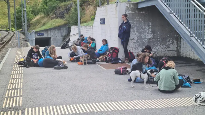 Eine Gruppe von Menschen, die auf der Seite einer Bahnstrecke sitzen, wobei einige von ihnen ihre Hunde halten. Rasse: Mops. – Jugend und Hund Lager 2023 in Segnas