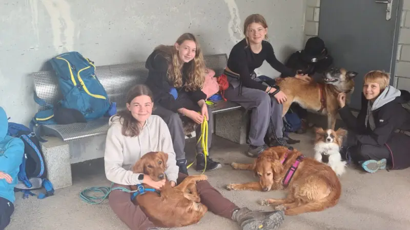 Eine Gruppe von Menschen, die auf einer Bank mit ihren Hunden sitzen, umgeben von Taschen und… Rassen: Malinois, Golden Retriever, Papillon. – Jugend und Hund Lager 2023 in Segnas