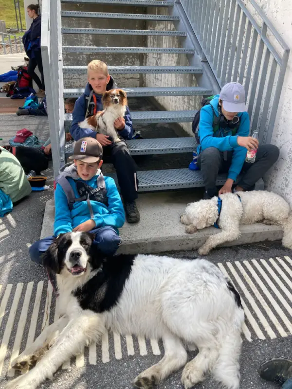 Eine Gruppe von Menschen, die auf den Stufen eines Gebäudes mit ihren Hunden sitzen. Rasse: Bernhardiner. – Jugend und Hund Lager 2023 in Segnas