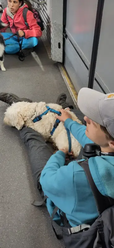 Das Bild zeigt einen Mann und eine Frau, die auf dem Boden sitzen, mit einem Hund zwischen ihnen. Rasse: Kuvasz. – Jugend und Hund Lager 2023 in Segnas