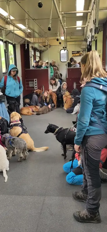 Eine Gruppe von Menschen, die mit ihren Hunden auf einem Zug sitzen, einige davon mit Rucksäcken und… Rassen: Deutsche Dogge, Malinois. – Jugend und Hund Lager 2023 in Segnas
