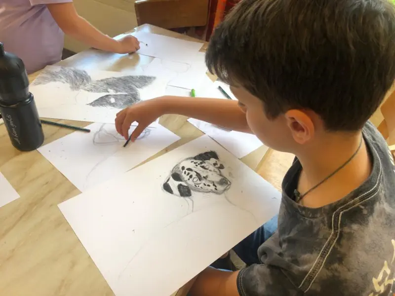 Das Bild zeigt einen jungen Jungen, der an einem Tisch sitzt, mit einer Vielzahl von Zeichnungen, Stiften und einer Wasserflasche. – Jugend und Hund Lager 2023 in Segnas