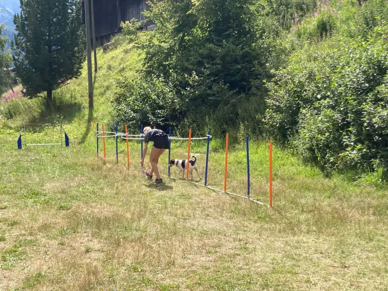 Ein Mann läuft durch ein Feld mit einem Hund. – Jugend und Hund Lager 2024 in Segnas