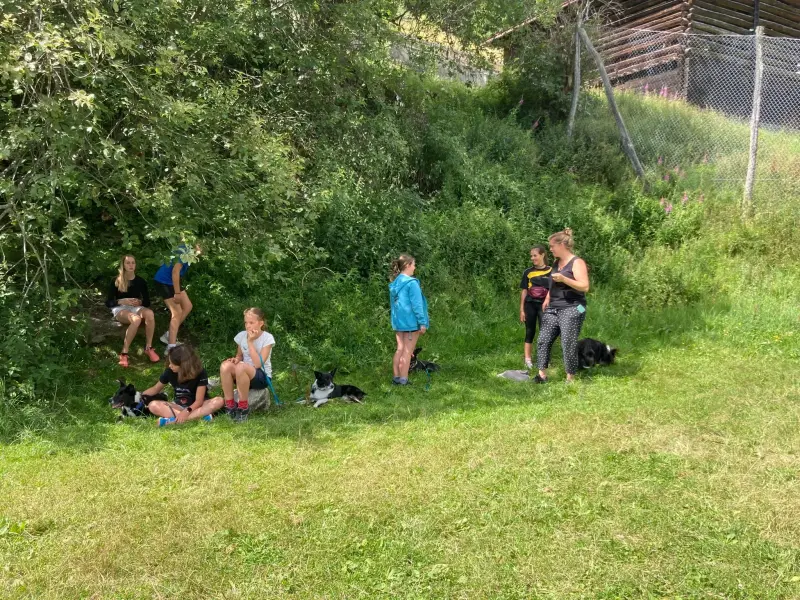Eine Gruppe von Menschen, die auf dem Gras sitzen. – Jugend und Hund Lager 2024 in Segnas