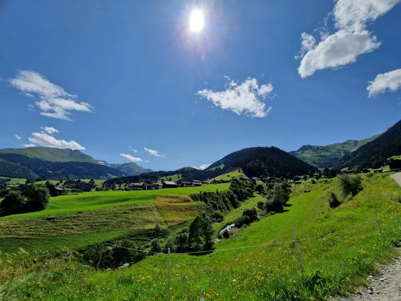 Ein grünes Grasfeld. – Jugend und Hund Lager 2024 in Segnas