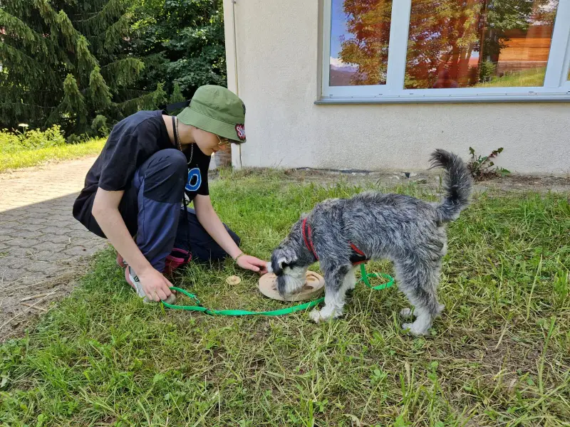 Ein Mann füttert einen Hund mit einer Leine. – Jugend und Hund Lager 2024 in Segnas