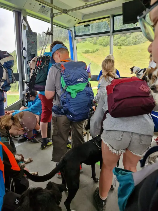 Eine Gruppe von Menschen, die einen Bus mit Hunden fahren. – Jugend und Hund Lager 2024 in Segnas