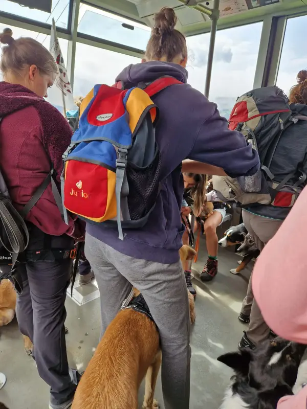 Eine Gruppe von Menschen im Bus mit Hunden. – Jugend und Hund Lager 2024 in Segnas
