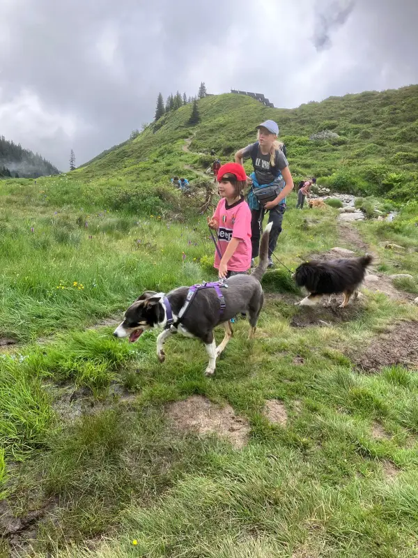 Eine Frau und zwei Hunde auf einer Spur. – Jugend und Hund Lager 2024 in Segnas