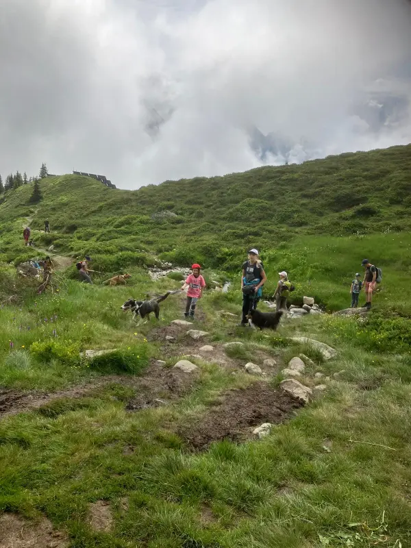 Eine Gruppe von Menschen, die auf einem Hügel stehen. – Jugend und Hund Lager 2024 in Segnas