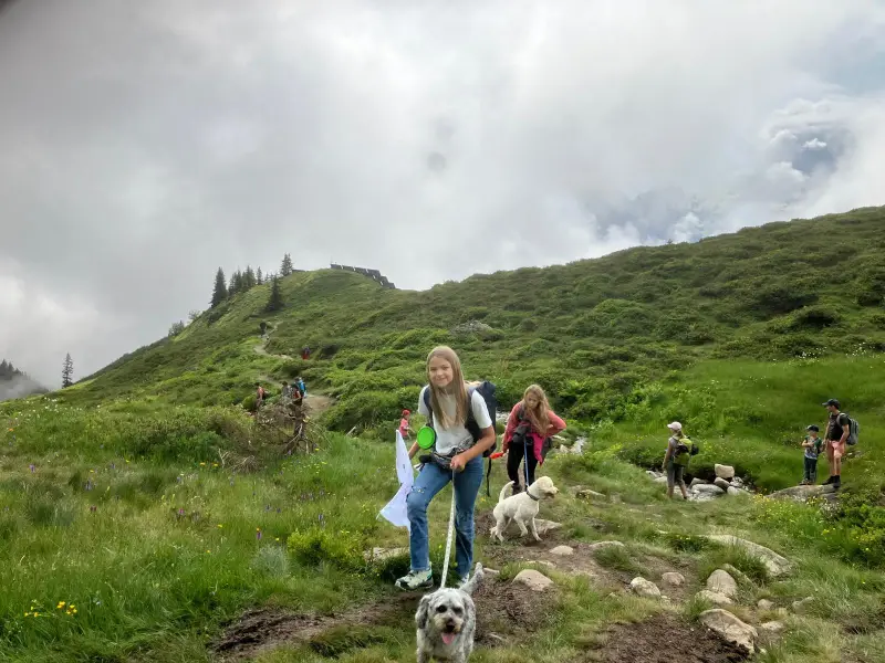 Eine Gruppe von Menschen, die einen Hügel hinuntergehen. – Jugend und Hund Lager 2024 in Segnas