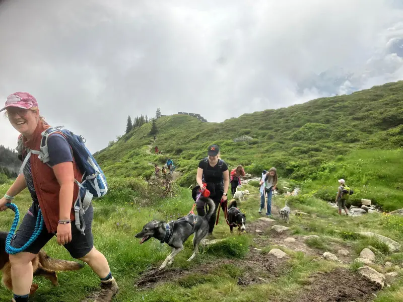 Eine Gruppe von Menschen, die einen Hügel hinaufwandern. – Jugend und Hund Lager 2024 in Segnas