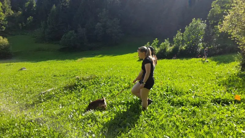 Eine Frau, die durch ein üppiges grünes Feld geht. – Jugend und Hund Lager 2024 in Segnas