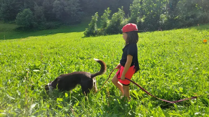 Eine Frau, die einen Hund durch ein Feld geht. – Jugend und Hund Lager 2024 in Segnas