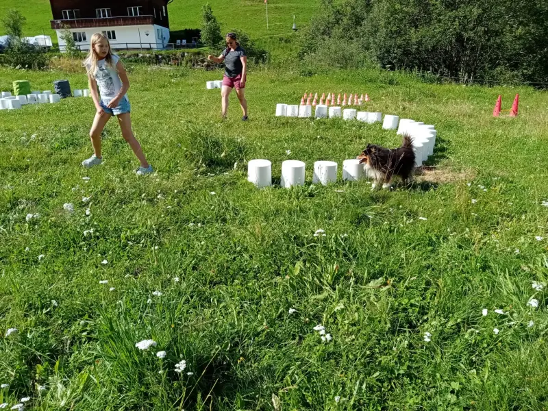 Zwei Mädchen spielen mit einem Hund auf einem Feld. – Jugend und Hund Lager 2024 in Segnas
