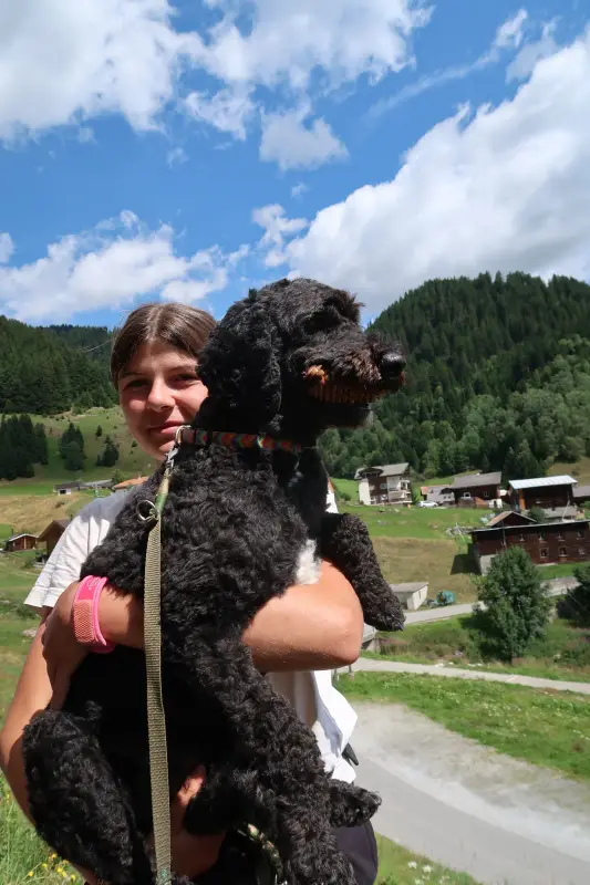 Ein Mann, der einen schwarzen Hund hält. – Jugend und Hund Lager 2024 in Segnas