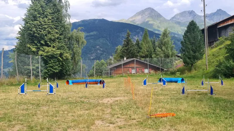 Ein Feld mit einem Zaun und einigen Bäumen. – Jugend und Hund Lager 2024 in Segnas