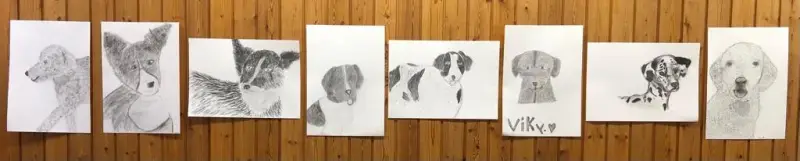 Eine Wand mit einer Reihe von Zeichnungen darauf. – Jugend und Hund Lager 2024 in Segnas