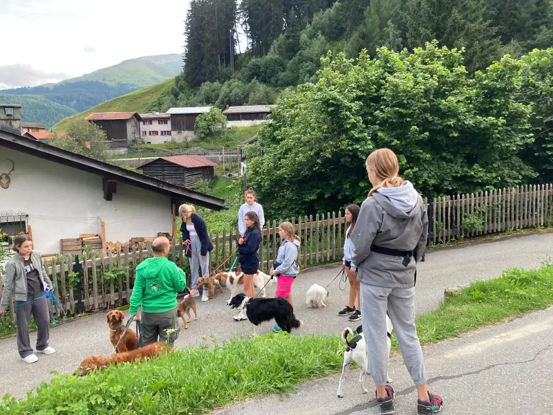 Eine Gruppe von Menschen, die ihre Hunde eine Strasse entlang gehen. – Jugend und Hund Lager 2024 in Segnas