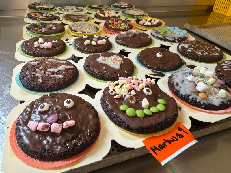 Das Bild zeigt einen Tisch mit vielen Cupcakes mit Schokoladenfrost bedeckt und mit Süssigkeiten verziert. – Jugend und Hund Lager 2025 in Segnas