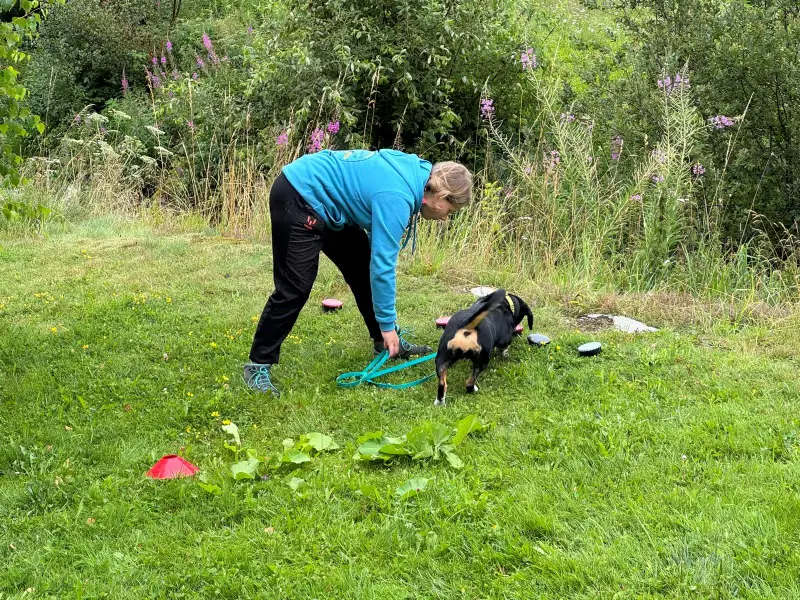 Eine Frau in einem blauen Hemd und schwarze Hosen, die mit einem schwarzen und braunen Hund in einem grasigen Bereich von Bäumen und… – Jugend und Hund Lager 2025 in Segnas