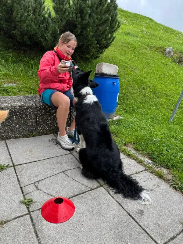 Eine Frau, die auf einer Steinwand neben einem schwarz-weissen Hund sitzt. – Jugend und Hund Lager 2025 in Segnas