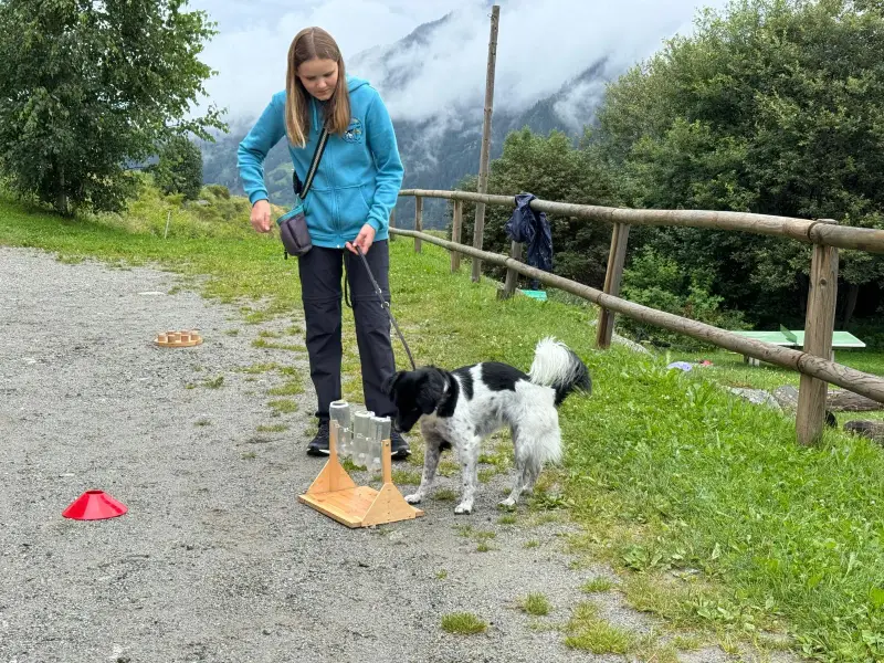 Eine Frau mit einer blauen Jacke und einer schwarzen Hose, die eine Leine an einem schwarz-weissen Hund an der Leine hält. – Jugend und Hund Lager 2025 in Segnas