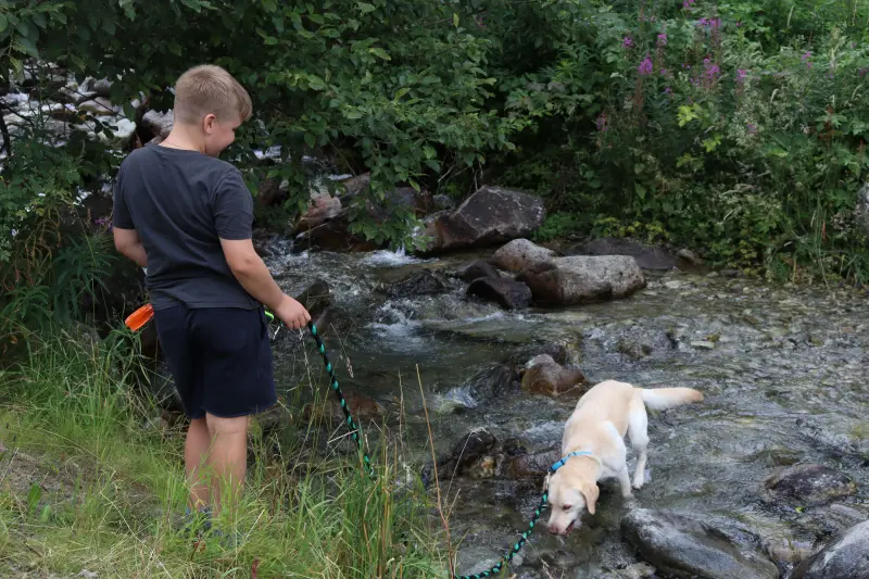 Das Bild zeigt einen Jungen, der in einem Bach mit einem Hund an der Leine steht. – Jugend und Hund Lager 2025 in Segnas