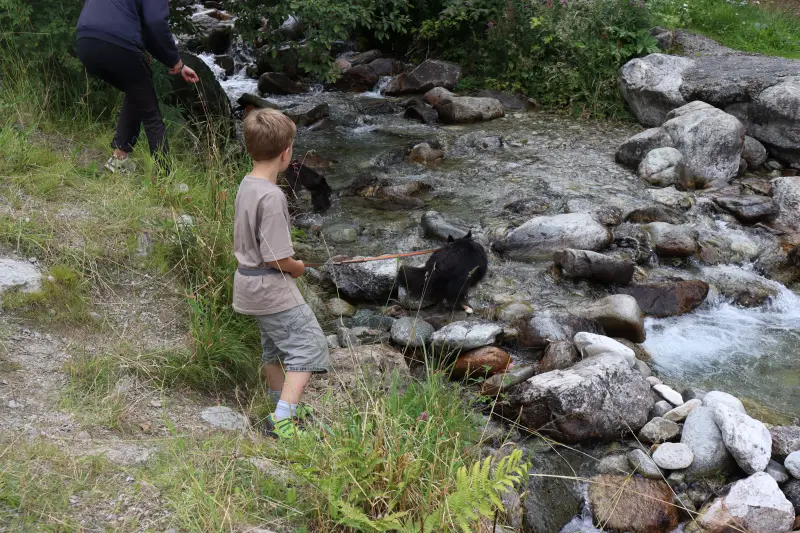Das Bild zeigt einen Jungen, der in der Mitte eines Baches steht und ein Seil hält, das an einen schwarzen Hund gebunden ist. – Jugend und Hund Lager 2025 in Segnas