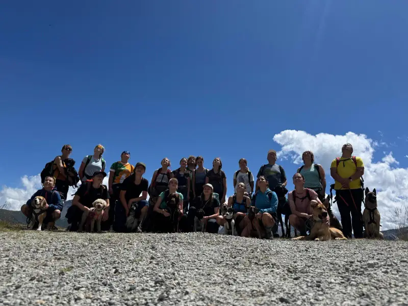Eine Gruppe von Menschen und ihre Hunde posieren für ein Foto auf einem Berg. – Jugend und Hund Lager 2025 in Segnas