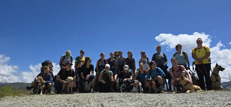 Eine Gruppe von Menschen und ihre Hunde posieren für ein Foto auf einem Berg. – Jugend und Hund Lager 2025 in Segnas