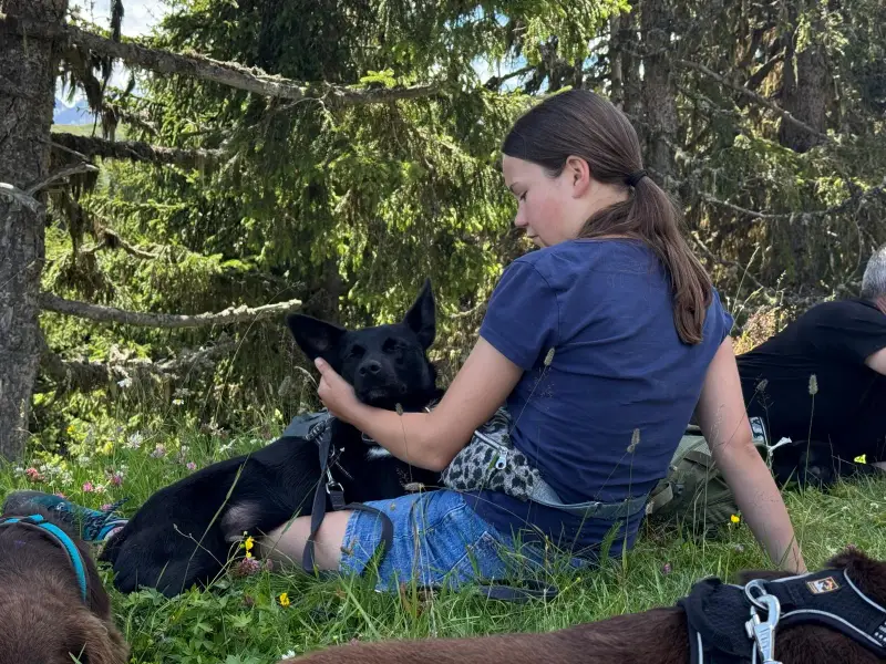 Eine Frau im Gras mit zwei Hunden, umgeben von Bäumen und einem klaren blauen Himmel. – Jugend und Hund Lager 2025 in Segnas