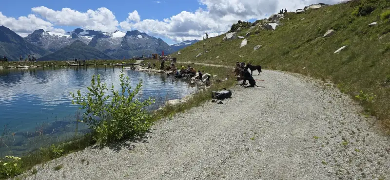 Eine Gruppe von Menschen, die auf der Seite einer Strasse neben einem Gewässer sitzen, umgeben von üppig grünem Gras und Pflanzen. – Jugend und Hund Lager 2025 in Segnas