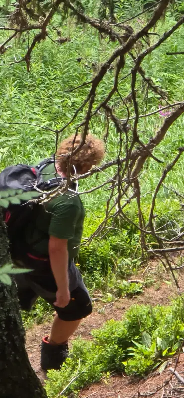 Das Bild zeigt einen Mann, der ein grünes T-Shirt und schwarze Shorts trägt, eine schwarze Tasche trägt, einen Baum im Wald hinaufklettert. – Jugend und Hund Lager 2025 in Segnas