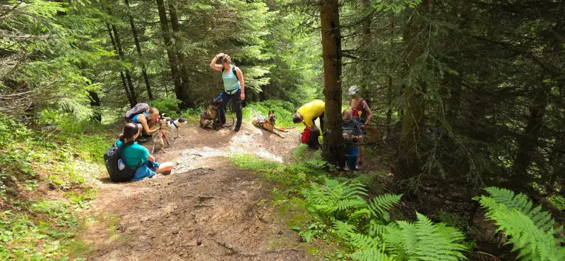 Eine Gruppe von Menschen, die im Wald auf einen Pfad wandern, von denen einige sitzen und stehen. – Jugend und Hund Lager 2025 in Segnas