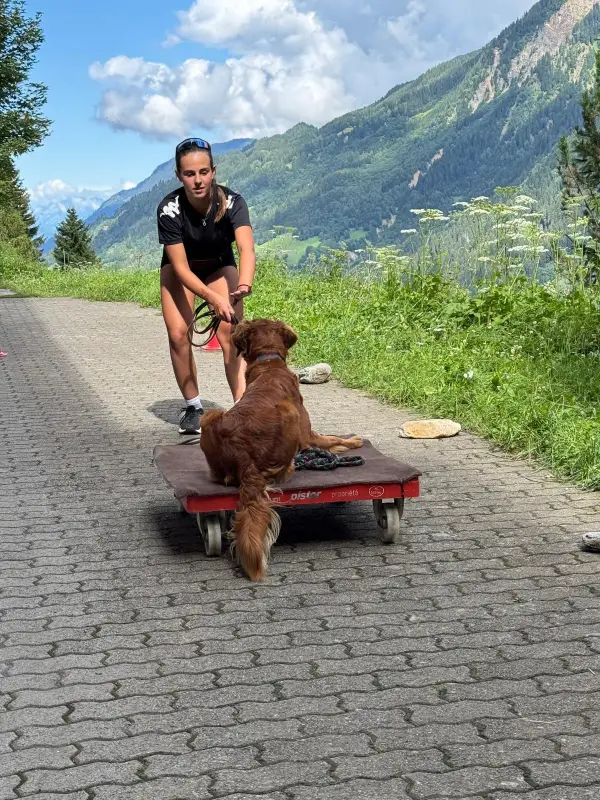 Eine Frau, die einen braunen Hund auf einem roten Karren eine Strasse hinunter schiebt, umgeben von üppigem grünem Gras, Pflanzen und… – Jugend und Hund Lager 2025 in Segnas
