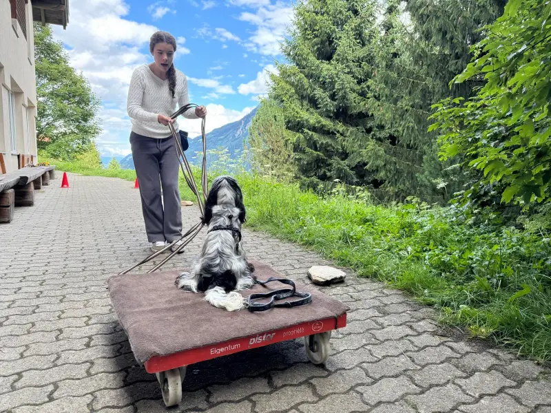 Eine Frau, die einen Wagen mit einem Hund auf eine Kopfsteinpflasterstrasse drückt. – Jugend und Hund Lager 2025 in Segnas