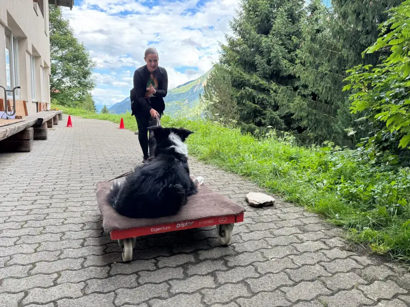Eine Frau, die einen schwarz-weissen Hund auf einen roten Wagen auf eine Kopfsteinpflasterstrasse drückt. – Jugend und Hund Lager 2025 in Segnas