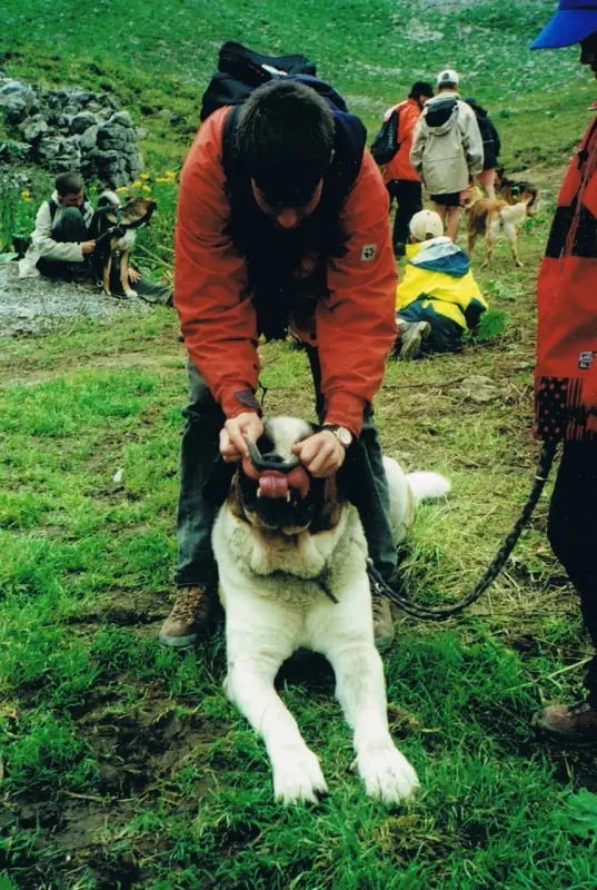 Das Bild zeigt einen Mann, der eine rote Jacke und blaue Mütze trägt und einen Gürtel an der Leine an einem Hund befestigt hält. – Jugend und Hund Lager 2000 in Sörenberg